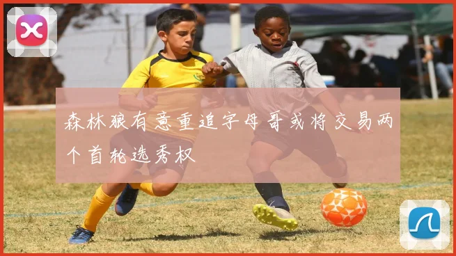 森林狼有意重追字母哥或将交易两个首轮选秀权
