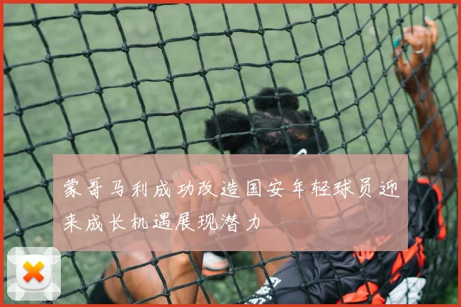 蒙哥马利成功改造国安年轻球员迎来成长机遇展现潜力